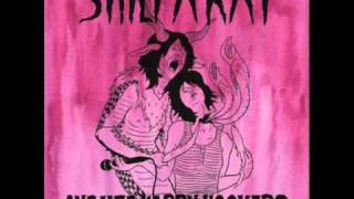 Shilpa Ray & Her Happy Hookers- "Venus Shaver"