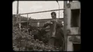 Die Schachtel.Ein stiller Zeitzeuge