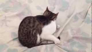 Iris goin all crazy early morning