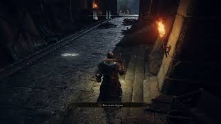 ELDEN RING™   Castle Morne   Weeping Peninsula