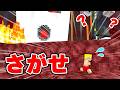 ネザーで極小ドズルを捕まえろ！！【マイクラ】