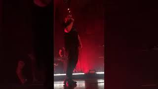 Black Belt John Grant Norwich