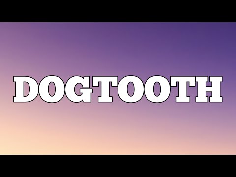 Tyler The Creator - Dogtooth ( Lyrics )
