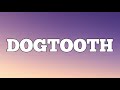 Tyler The Creator Dogtooth Lyrics