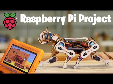 TOP 10 des projets Raspberry Pi - Maker Tuteur