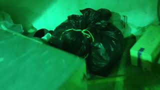 광주광역시 서부도매물시장 영상