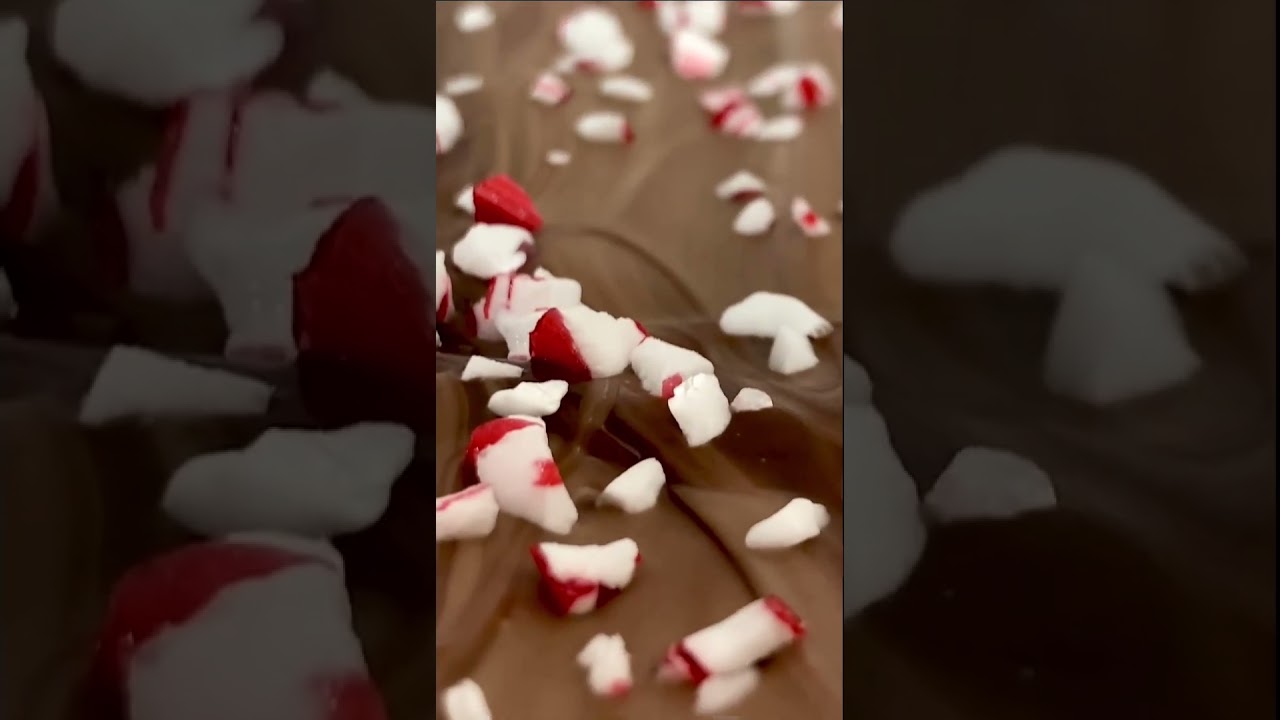 Bark! #merrychristmas thumbnail