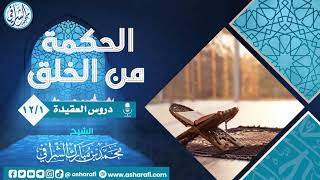 صورة دروس في العقيدة  / الشيخ محمد بن مبارك الشرافي