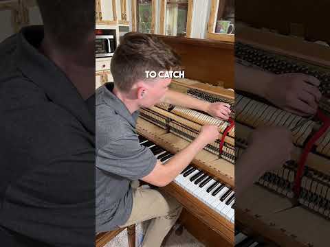 This Lady Was So Kind :)