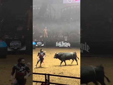 Rodeo Bull Fighting Fort Worth Texas Cowboys