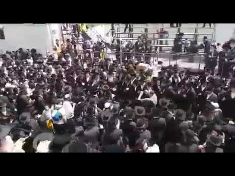 Lag Baomer 5777 with Lelover Rebbe In Meron