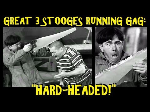 Great 3 Stooges Running Gag: "Hard-Headed!"