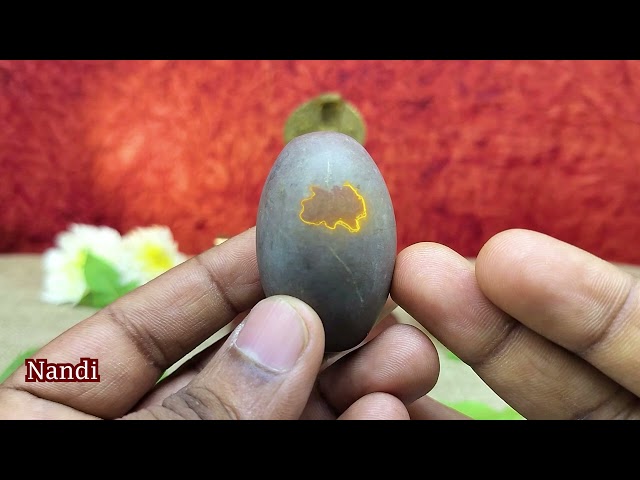 Auspicious Tilaka Dev Chandan Chand – Fierce Protector Against Evil (Sandalwood) Mark Lord Shiva Puja Vidhi Set video