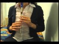 A Window to the Past - Harry Potter - Tin Whistle Cover