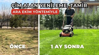 Çim Alan Yenileme Tadilat - Çim Nasıl Ekilir? (Ara Ekim Yöntemi)