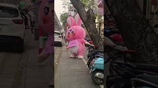 #softtoys #hanoi #shorts #travel