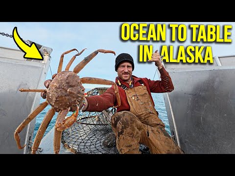 From Ocean to Table | Crab Fishing in Alaska