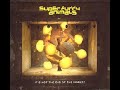 Super Furry Animals – Gypsy Space Muffin