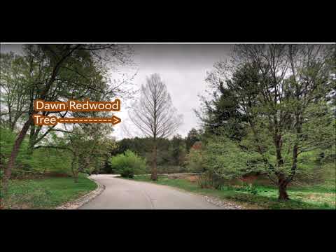 A Great place to visit in Boston         Arnold Arboretum of Harvard University