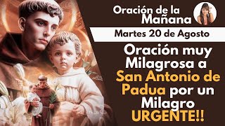 🔴ORACIÓN DE LA MAÑANA, Muy Milagrosa por un Favor ¡URGENTE! a San Antonio de Padua