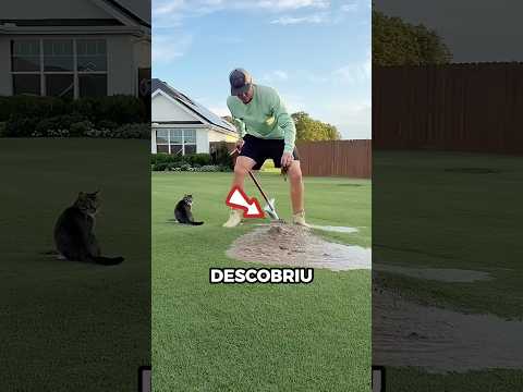 Uma Descoberta Bizarra 😱