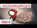 Spider Man Sinhala Cartoon Spider Man Cartoon