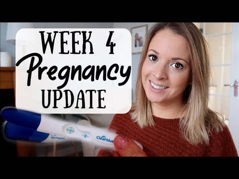 Week 4 pregnancy update