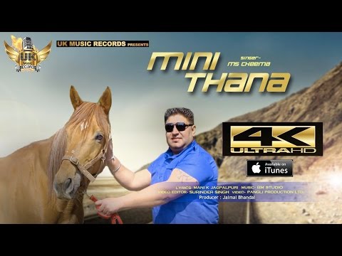 Mini Thana