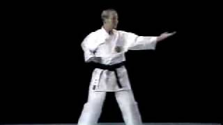 Tokio Hisatomi-Naihanchi Shodan