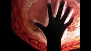 Darius in the Spirit Cave, finding out his animal spirit