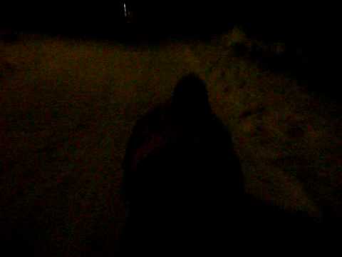 la sanie in zau de campie