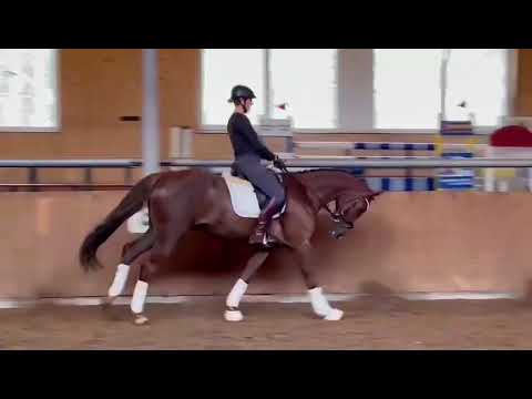 Quantensprung - De Niro - Landadel