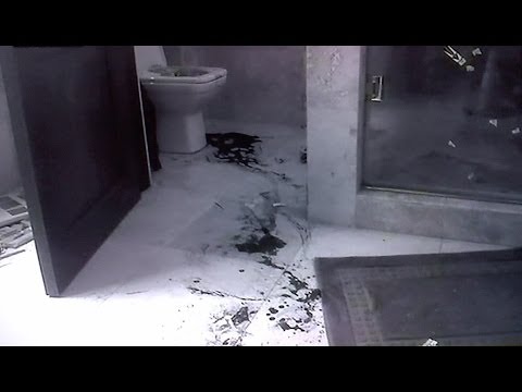 Reeva Steenkamp Crime Scene