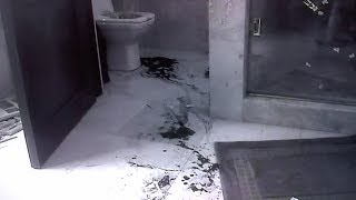 Pistorius Trial: Graphic pictures of the scene where Reeva Steenkamp died