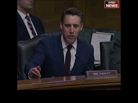 Hawley Confronts Dem Witness on DEI and Antisemitism: 'If You Assault a Jewish Student, You Ought to Be Out'