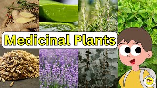 Nature's Secret Helpers: Amazing Medicinal Plants for Kids! #kiddotvvv #kids #learning