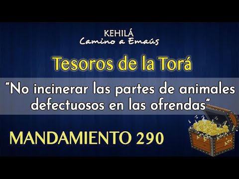 Mandamiento 290 | No incinerar las partes de animales defectuosos en las ofrendas.