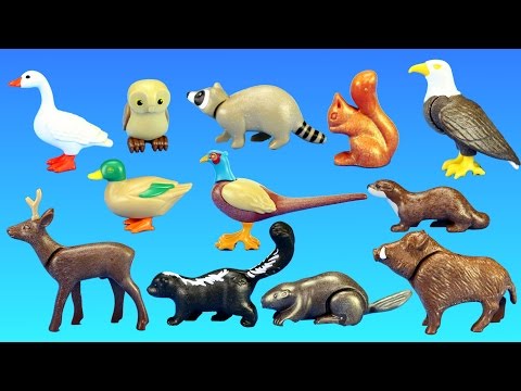 Playmobil Forest Wild Animals Building Toy Sets Collection For Kids