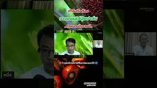 🔴 ทำไมถึงต้องวางแผนใส่ปุ๋ยปาล์มเป็นรายปี!! | รับชมคลิปเต็มๆได้ที่ Live [ตอนที่ 13]