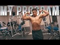 Workout Program | Lifting Belts | Physique Update