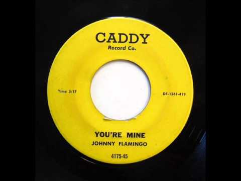 You're Mine  -  Johnny Flamingo