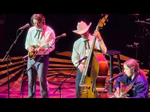 Billy Strings "Shalom Aleichem - Jerusalem Ridge" Ryman Nashville TN 3/2/2025 #billystrings #ryman