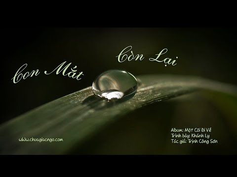 CON MẮT CÒN LẠI