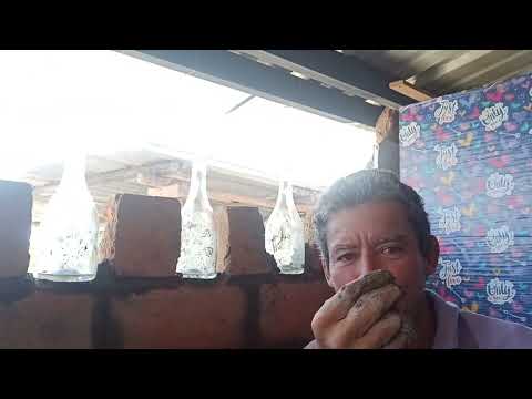 cómo pegar botellas de vidrio en una pared🤩🇨🇴