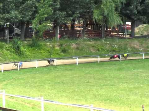 CRF Federation Trophy A2 final 07.07.2013. Isaszeg