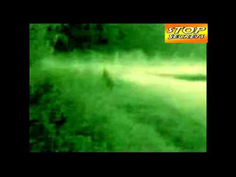 STRANGE CREEPY WEIRD SCARY CREATURE Caught on Tape