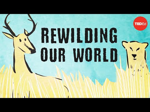From the top of the food chain down: Rewilding our world - George Monbiot