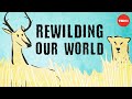 From the top of the food chain down: Rewilding our world - George Monbiot