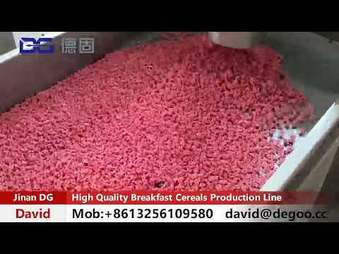 High Quality Breakfast Cereals Production Line Well Working in Customer's Factory