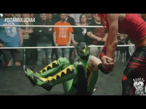 Green Ant Highlight Video